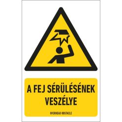   A fej sérülésének veszélye tábla (ISO 7010-W020 piktogram + felirat) 160x250 mm